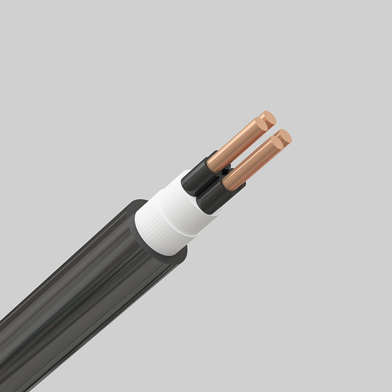 众邦氟塑料电力电缆FV-0.6/1kV