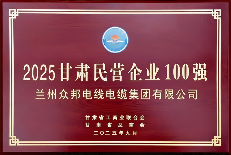 2025甘肃民营企业100强